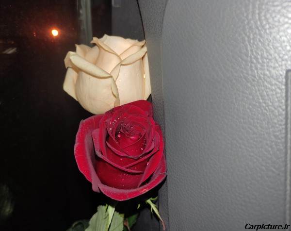عکس گل توی ماشین